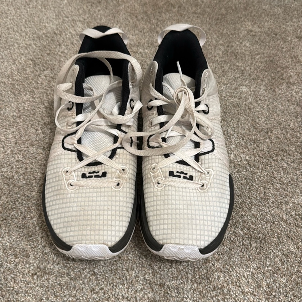 EUC LeBron Witness VII